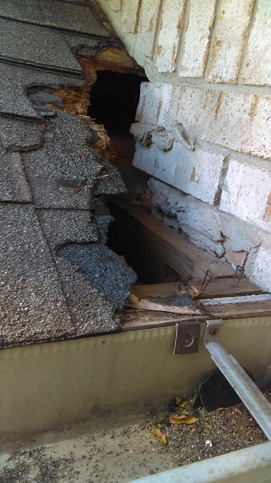 22688474_1063332903703163_7616658826921850072_n