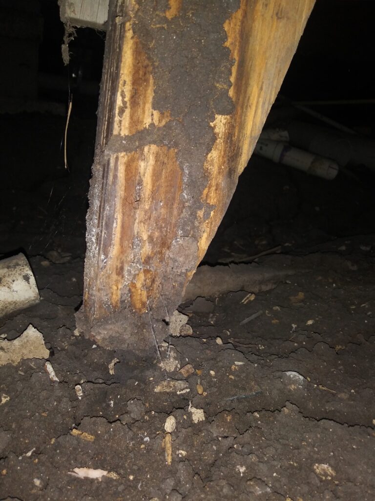 69755054_1854882404548205_5470974619190034432_o