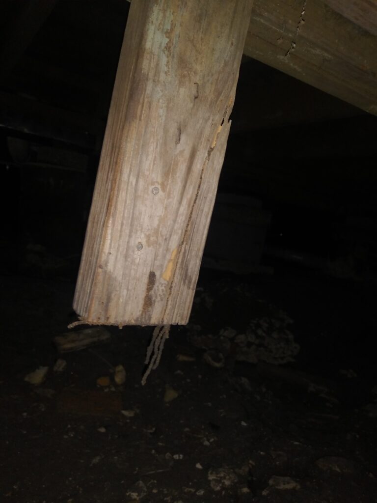 71343985_1854880951215017_2495542510563098624_o